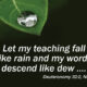 His Teaching – An Ordinary Time Season Sermon